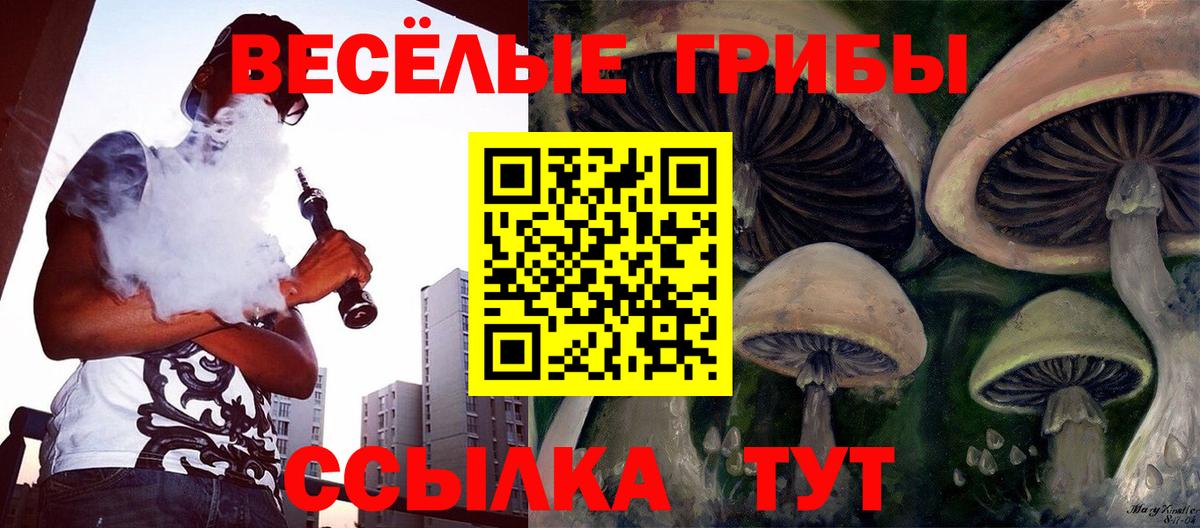 Дальнереченск  Галлюциногенные грибы прущие грибы  Псилоцибиновые грибы прущие грибы  Вход с VPN 